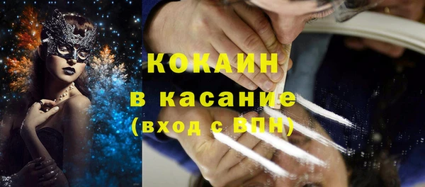 соль ск Каменка