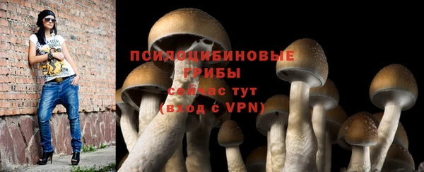 герыч Касимов